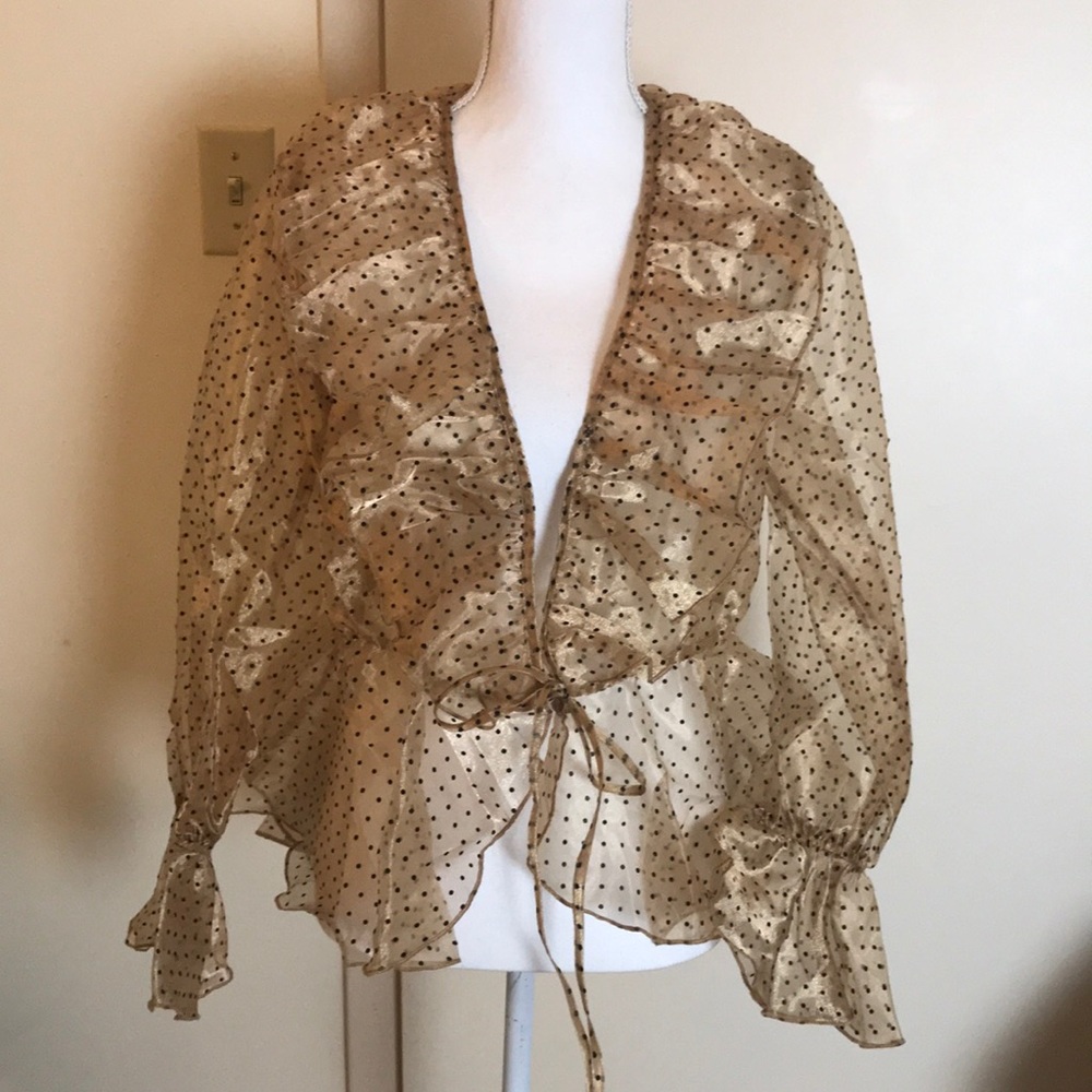 The Moon Sheer Mesh Polka Dots Ruffle Blouse